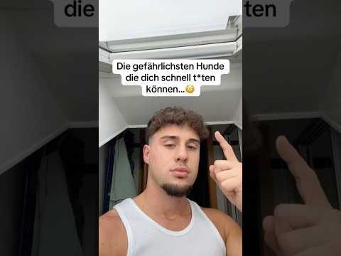 Die gefährlichsten Hunde die dich schnell t*ten können…😳 | #gefährlich #hunde #schnell #shorts #fy