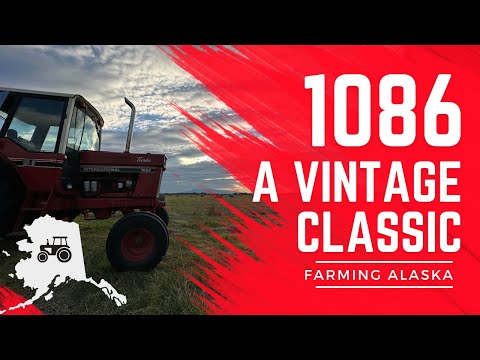 International 1086, review and maintenance walk through