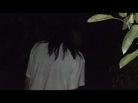 Ficcin- Bağdakı Nəhlət! Netflix 2025 LKV 