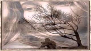 Ricardo Montaner - La canción que necesito ♥