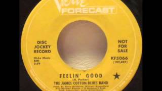 The James Cotton Blues Band "Feelin' Good"