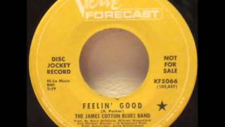 The James Cotton Blues Band "Feelin' Good"