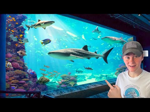 What’s inside America’s LARGEST AQUARIUM?? (6.3 MILLION GALLONS!)