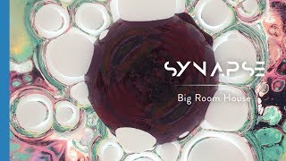 Hardwell - ID (Being Alive) (Live At Tomorrowland 2018)