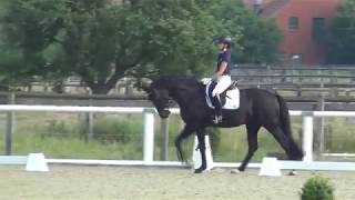 Video of Bon Coeur