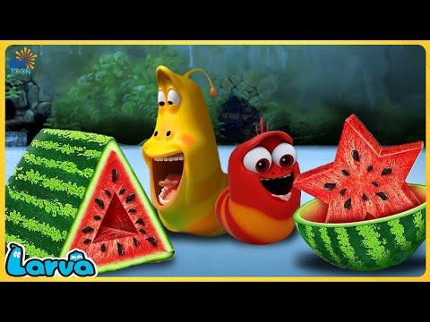 LARVA 2025 -  TOP 100 EPISODE | CARTOON NEW VERSION | CARTOONS FOR LIFE @SMToonVietnamlarva