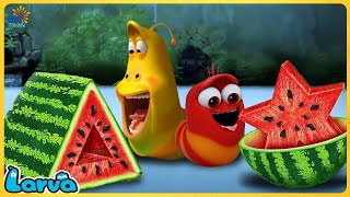 Download lagu LARVA 2025 -  TOP 100 EPISODE | CARTOON NEW VERSION | CARTOONS FOR LIFE @SMToonViệtNam mp3