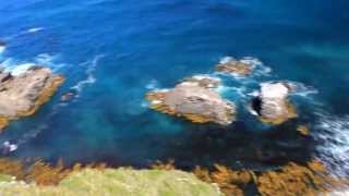 preview picture of video 'Sea weeds at Nugget Point, Catlins'