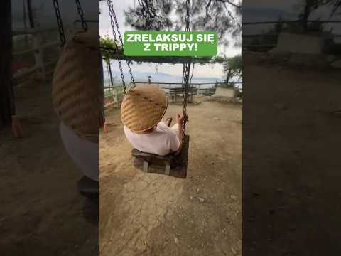 Trippy by High Labs 🌀 #fyp #viral #fypviral #viral_video