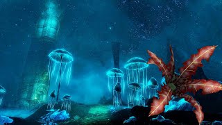 Skyrim- СОБРАЛИ ВСЕ АЛЫЕ КОРНИ