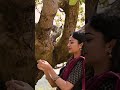 Pennala Pennala Oothapoo Payal Radhakrishna Shenoy Reelstamil Youtubeshorts Shorts Arrahman
