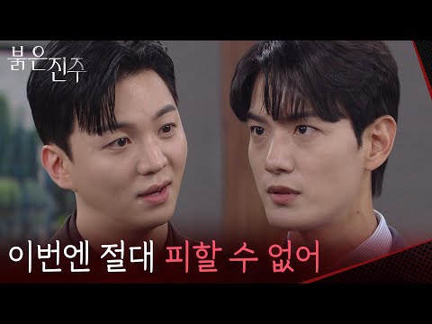 비디오 11