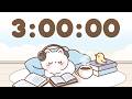3 Hour Timer 3 Hr Study Timer For Classroom Focus
