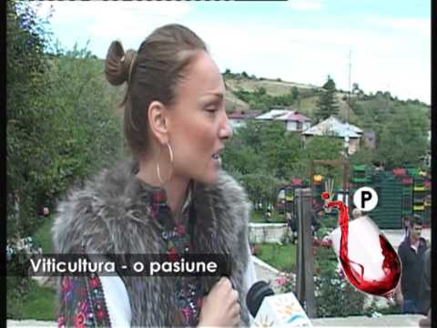 Viticultura – o pasiune
