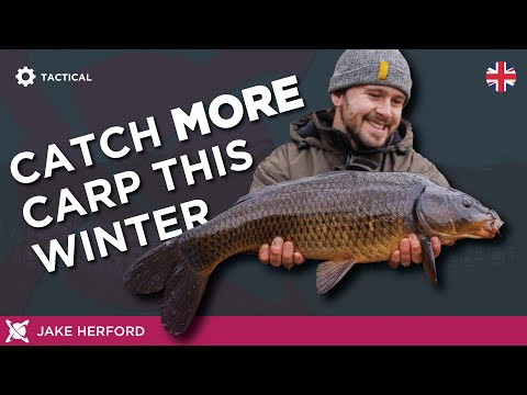 Catch MORE Carp in the Winter Months! Top Carp Fishing Tips!