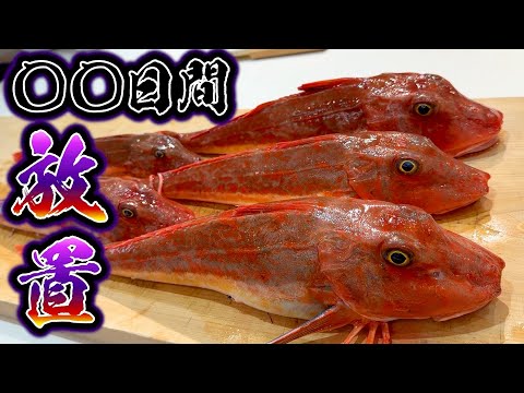 youtube-グルメ・大食い・料理記事2026/03/09 09:59:25