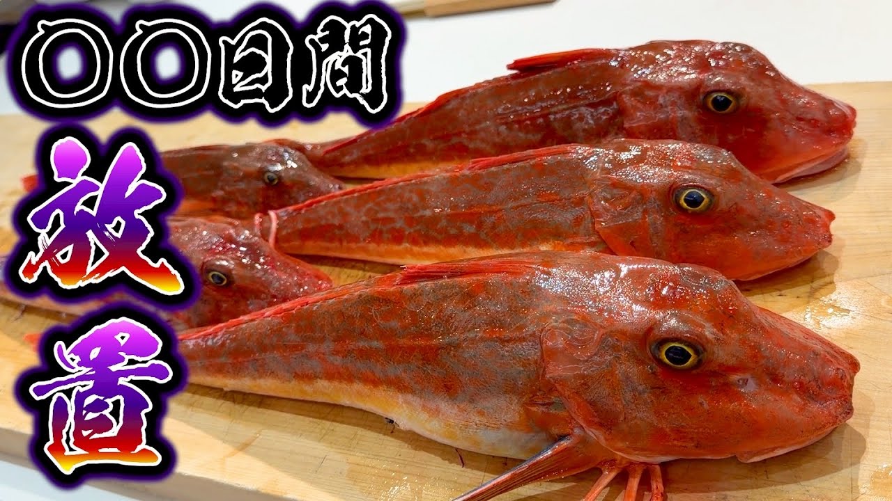 【熟成魚】今の時期うますぎるコイツ。熟成のやり方完璧に伝授致します。