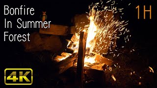[4K] 焚き火でリラックスする1時間。Relaxing Video of Bonfire with Bugs Sounds in summer forest