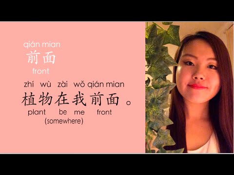 Video Sample