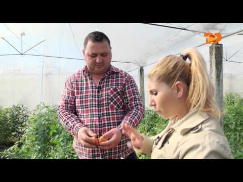 Ne Shtepine Tone, 15 Mars 2016, Pjesa 2 - Top Channel Albania - Entertainment Show