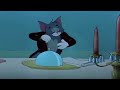 Tom And Jerry Smarty Cat Tom And Jerry Episode 95