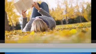 Advantages & disadvantages of moving to the Netherlands part 1