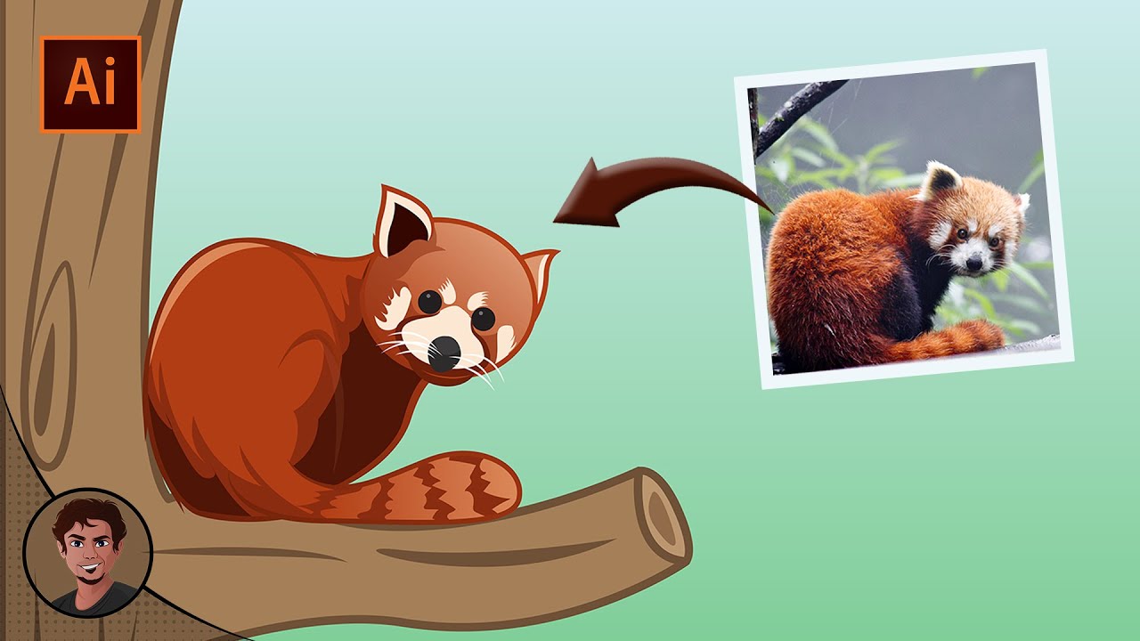 Red Panda cartoon illustration | Adobe illustrator | Vector Art | Speed Art