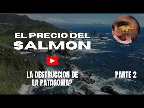 El lamento del mar,  el precio de comer salmón de granja ¿La destrucción de la Patagonia? Part 2/2