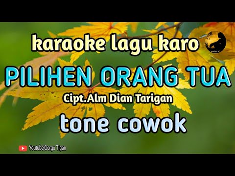 PILIHEN ORANG TUA (karaoke) Cipt.Alm Dian Tarigan @Gorgo Tigan Channel #karaoke#lagukaro