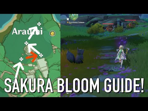 How to Pick Up Sakura Blooms [Genshin Impact 2.0]