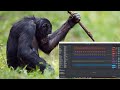 HOW I MADE MONKEY TYPE BEAT