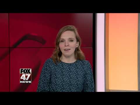 Purina issues recall due to rubber pieces found in cat food