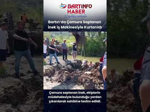 Bartın'da Irmaktan İnek Kurtarma Operasyonu
