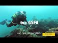 Tve Global Sustainability Film Awards 2022