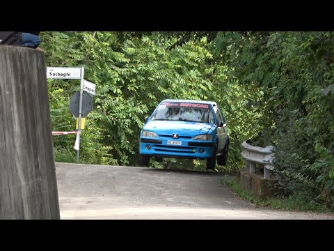 CLIP 37° Rally Città di Bassano 2020 Cella-Michelutti by Ferrario