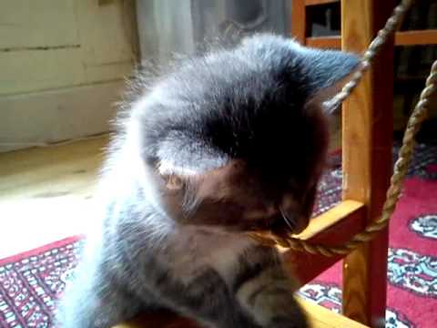 Henrik drygt sex veckor