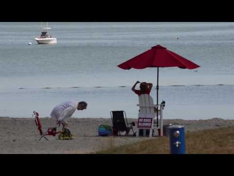 PCN Preview show 218 May 4th 2017