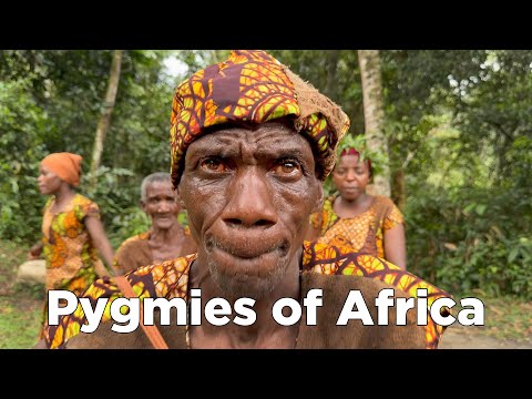 Batwa Pygmies: The World's Shortest Tribe You've Never Heard Of!