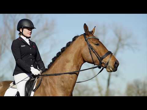 05 El Tigre Wallach v. Escolar - Charming