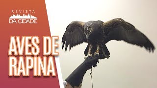 Miniatura do vídeo