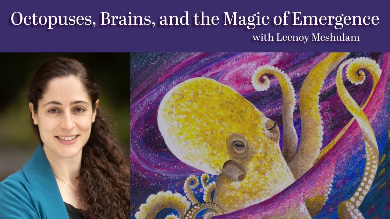 Octopuses, Brains, and the Magic of Emergence by Leenoy Meshulam