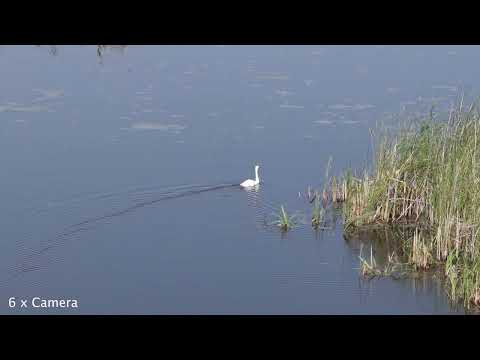 DJI Mavic 4 Pro Camera Test – 3 Lenses Compared at Lake Bistreț