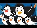 Five Little Penguins Jumping On The Bed Happy Little Penguins Kids Tv Baby Rhymes