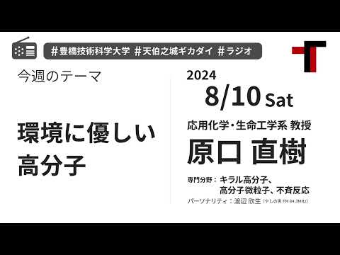 【音声】やしの実FM 天伯之城ギカダイ 2024/8/10【ラジオ】