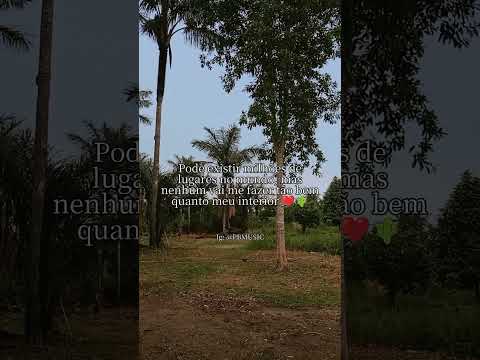 #um lugar maravilhoso em careiro da várzea 🌿🌼