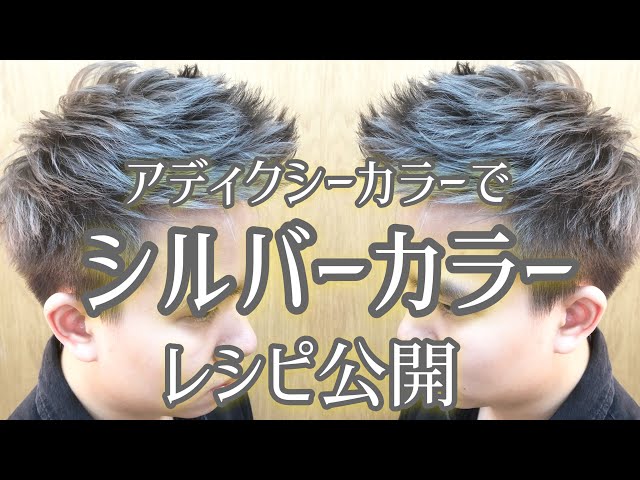 Japon'de シルバー Video Telaffuz