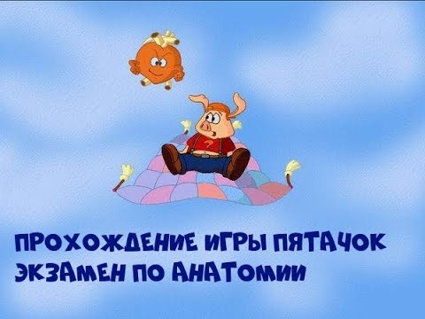 Прохождение игры Пятачок.Экзамен по анатомии