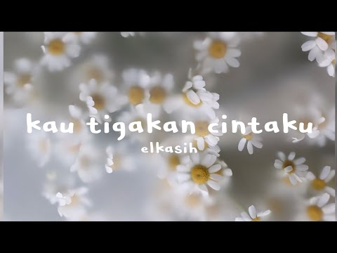 Elkasih - Kau Tigakan Cintaku Tiktok version abang tesla ( Lirik )