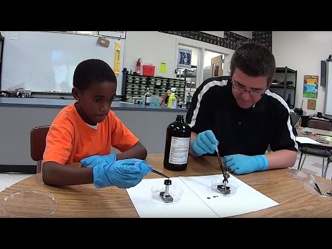 EpicScience - Magnetic Fields with Ferrofluid