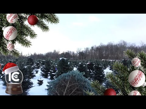 ICTV Holiday Special: Moore Family Farm